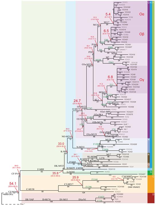 人類學雜記——24. 中國人的超級祖先